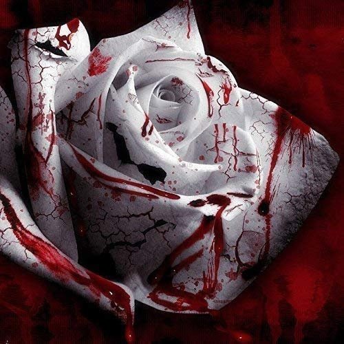 Rare White Blood Rose Plant Flower Seeds Flower Garden Asaka Rare True Blood Rose South Mountain Nursery
