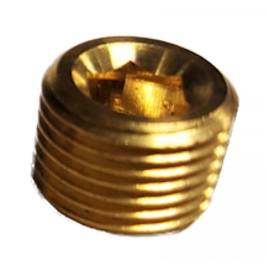 Recessed Plug - 1/8" NPT