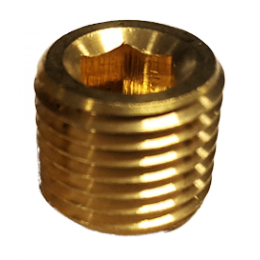 Recessed Plug - 1/4" NPT