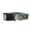 Biscuits Treats Nylon Dog Collar