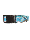 Blue Butterflies Nylon Dog Collar