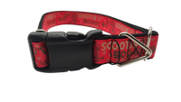 Boot Scootin Boogie Nylon Dog Collar