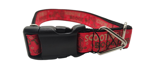 Boot Scootin Boogie Nylon Dog Collar