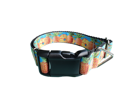 Pineapple Nylon Dog Collar