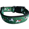 Cows Nylon Dog Collar