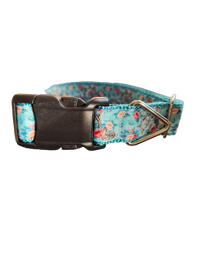 Ship Wheels & Compass Nylon Dog Collar