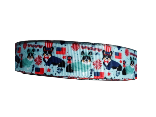 USA Pups Nylon Dog Collar