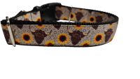 Cows and Sunflowers Western Nylon Dog Collar