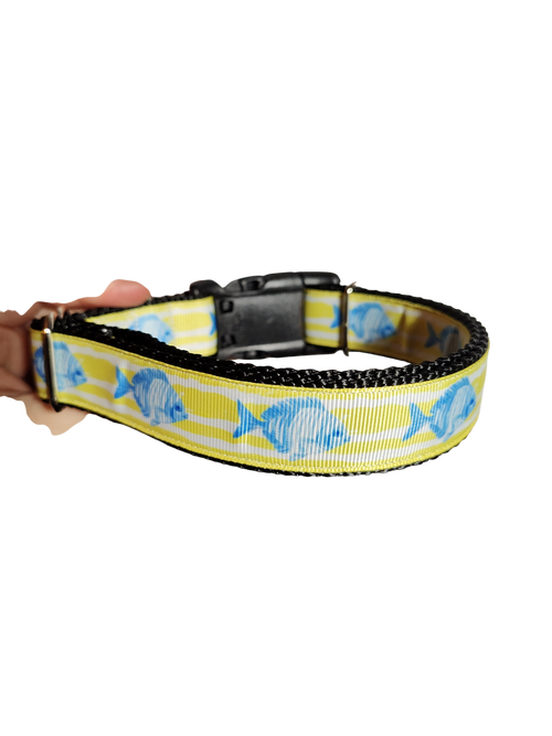 Fish On Yellow Stripes Nylon Dog Collar