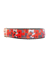 Scottish Terriers Nylon Dog Collar