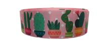 1.5" Wide Potted Cactus Nylon Dog Collar
