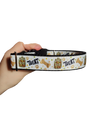 Treat Nylon Dog Collar