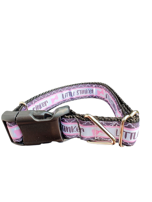 Little Stinker Nylon Dog Collar