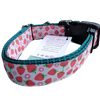 Strawberry Flowers Green Nylon Dog Collar MD, LG, XL, Leash