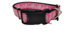 Fuck Pink Nylon Dog Collar
