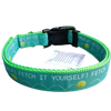 Fetch It Yourself! Neon Green Nylon Dog Collar MD, LG, XL, Leash