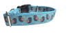 Striped Winged Bird Nylon Dog Collar