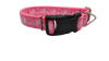 Fuck Pink Nylon Dog Collar