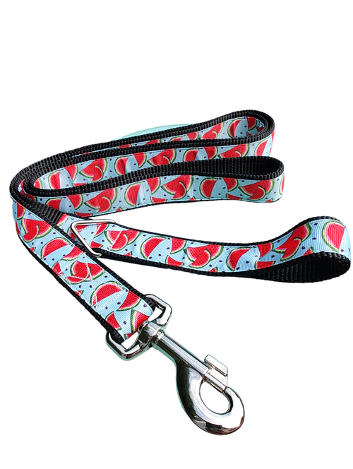 Watermelon Slices Nylon Dog Collar