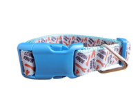 Branch Manager Light Blue Nylon Dog Collar MD, LG, XL, Leash, Martingale