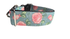 1.5" Wide Roses on Blue Nylon Dog Collar