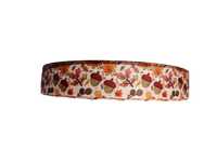 Acorn Woods Nylon Dog Collar
