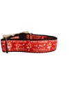My Human Is My Valentine Nylon Dog Collar