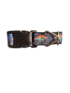Orange UFO Nylon Dog Collar