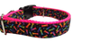 Neon Bones Nylon Dog Collar MD, LG, XL, Leash