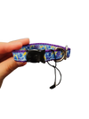 1/2" Blue & Purple Roses Nylon Dog / Cat Collar