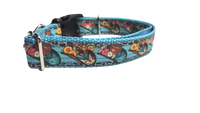 Cowboy Hats and Flowers Nylon Dog Collar