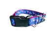 Flamingos Nylon Dog Collar