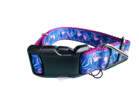 Flamingos Nylon Dog Collar