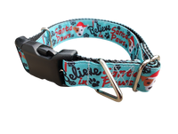 Believe In Santa Paws Christmas Nylon Dog Collar