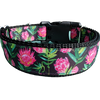 Protea Flower Nylon Dog Collar