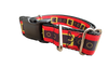 Santa Belt Christmas Nylon Dog Collar