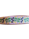 Walking Vet Bill Nylon Dog Collar