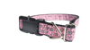 Hedgehog Nylon Dog Collar