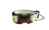 Yellow Flowers Black Nylon Dog Collar MD, LG, XL, Leash