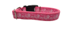 Fuck Pink Nylon Dog Collar