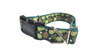 Kiwi Fruit Nylon Dog Collar
