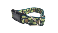 Kiwi Fruit Nylon Dog Collar