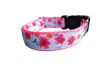 Bright Flowers Nylon Dog Collar