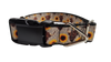Cows and Sunflowers Western Nylon Dog Collar