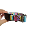 Rainbow Bunny Easter Nylon Dog Collar