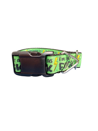 Fast As Fuck Nylon Dog Collar
