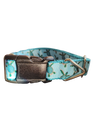 Baby Sea Turtles Nylon Dog Collar