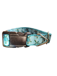 Baby Sea Turtles Nylon Dog Collar