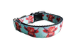 Highland Cows Nylon Dog Collar