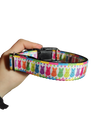 Rainbow Marshmallow Bunnies Easter Nylon Dog Collar